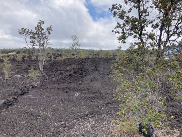 Ocean View, HI 96737,COCOANUT DR