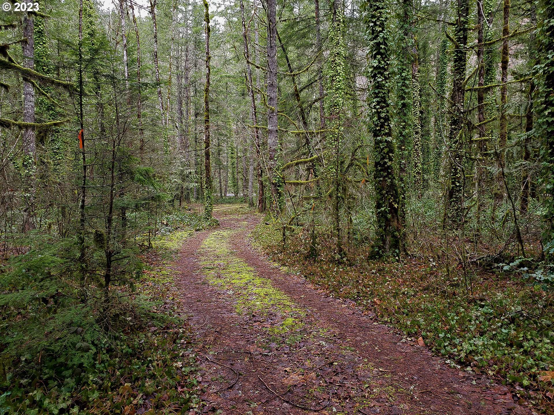 E Barlow Trail RD, Brightwood, OR 97011