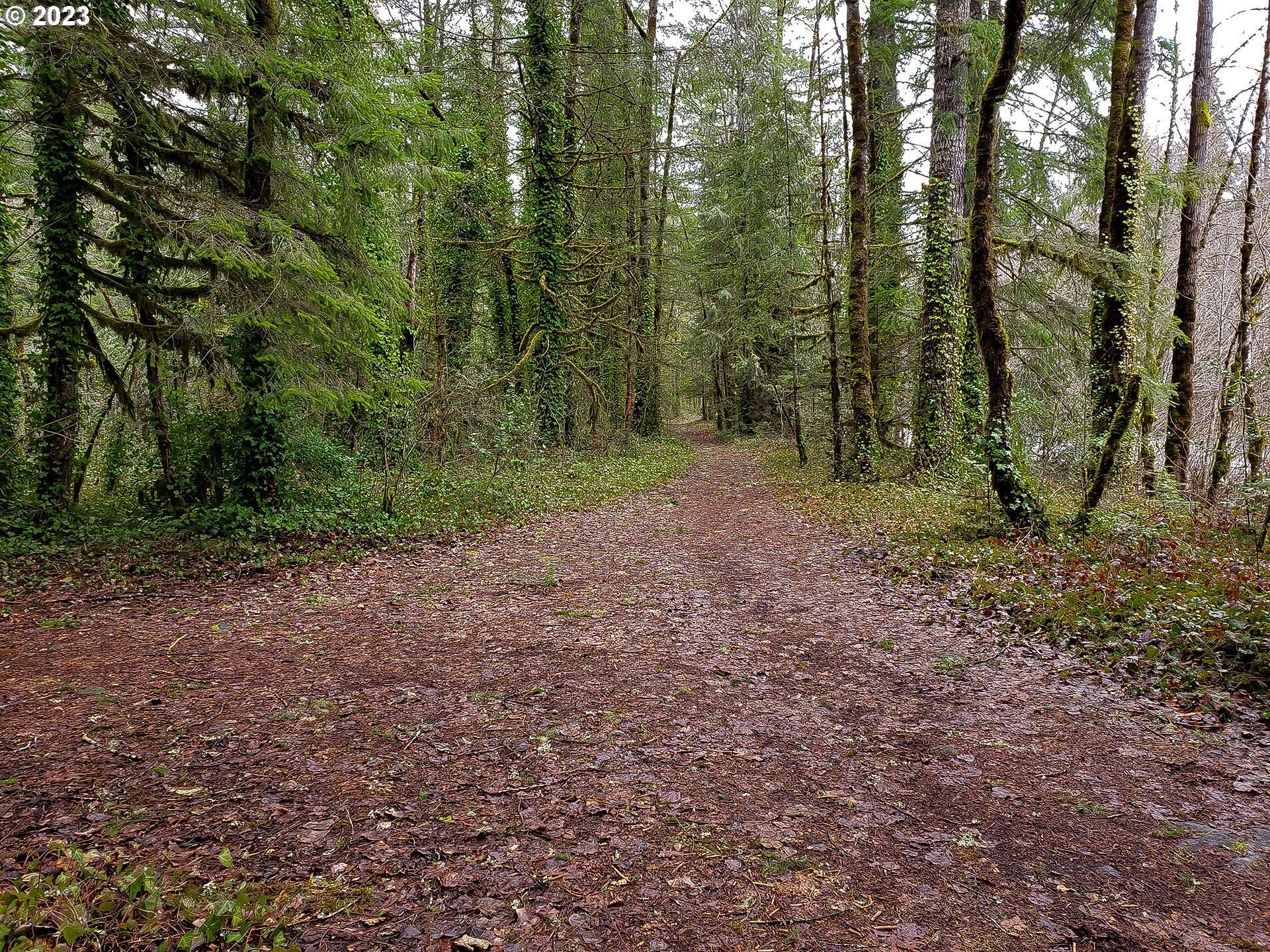 E Barlow Trail RD, Brightwood, OR 97011