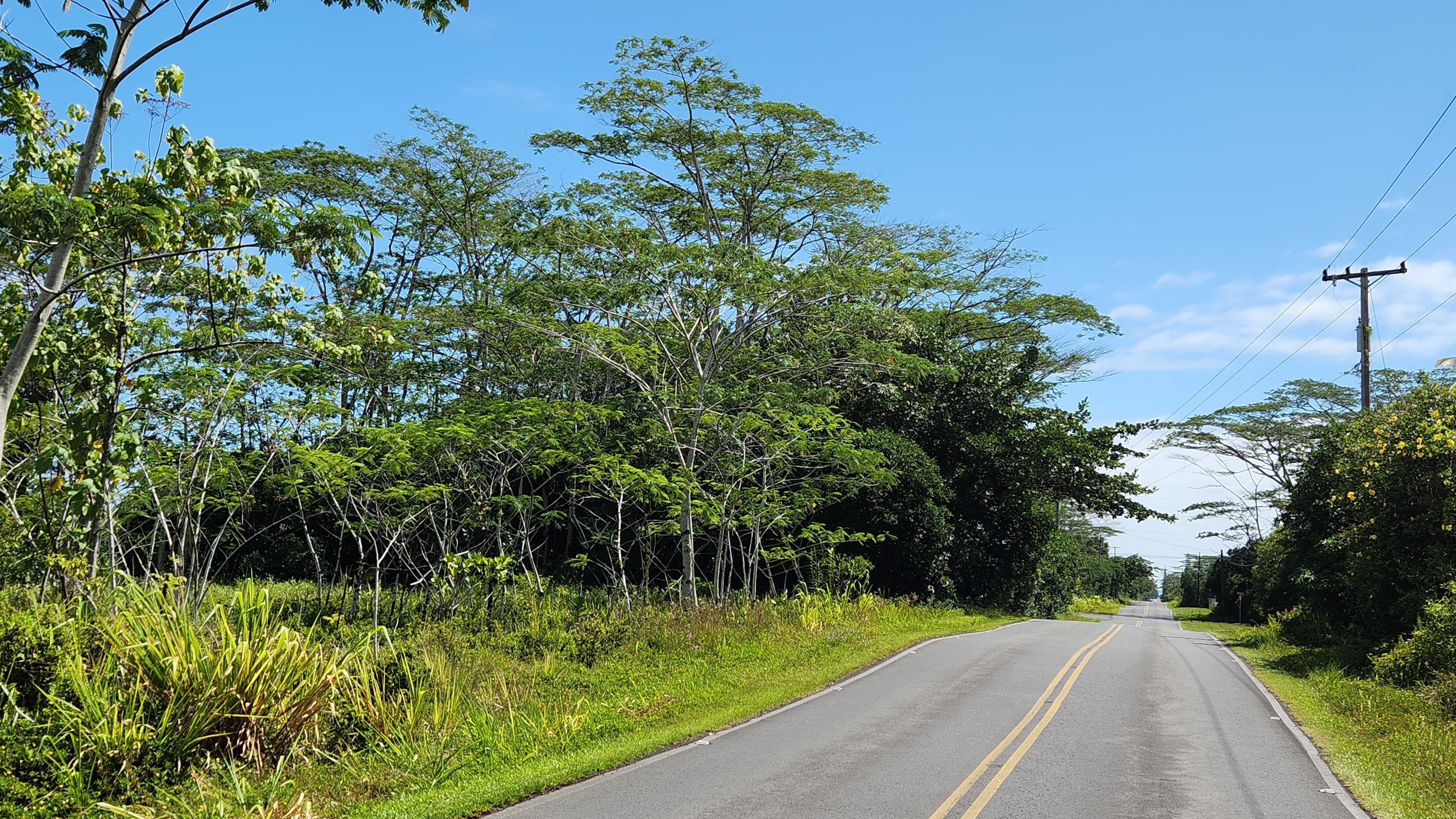 Keaau, HI 96749,15-1746 9TH AVE