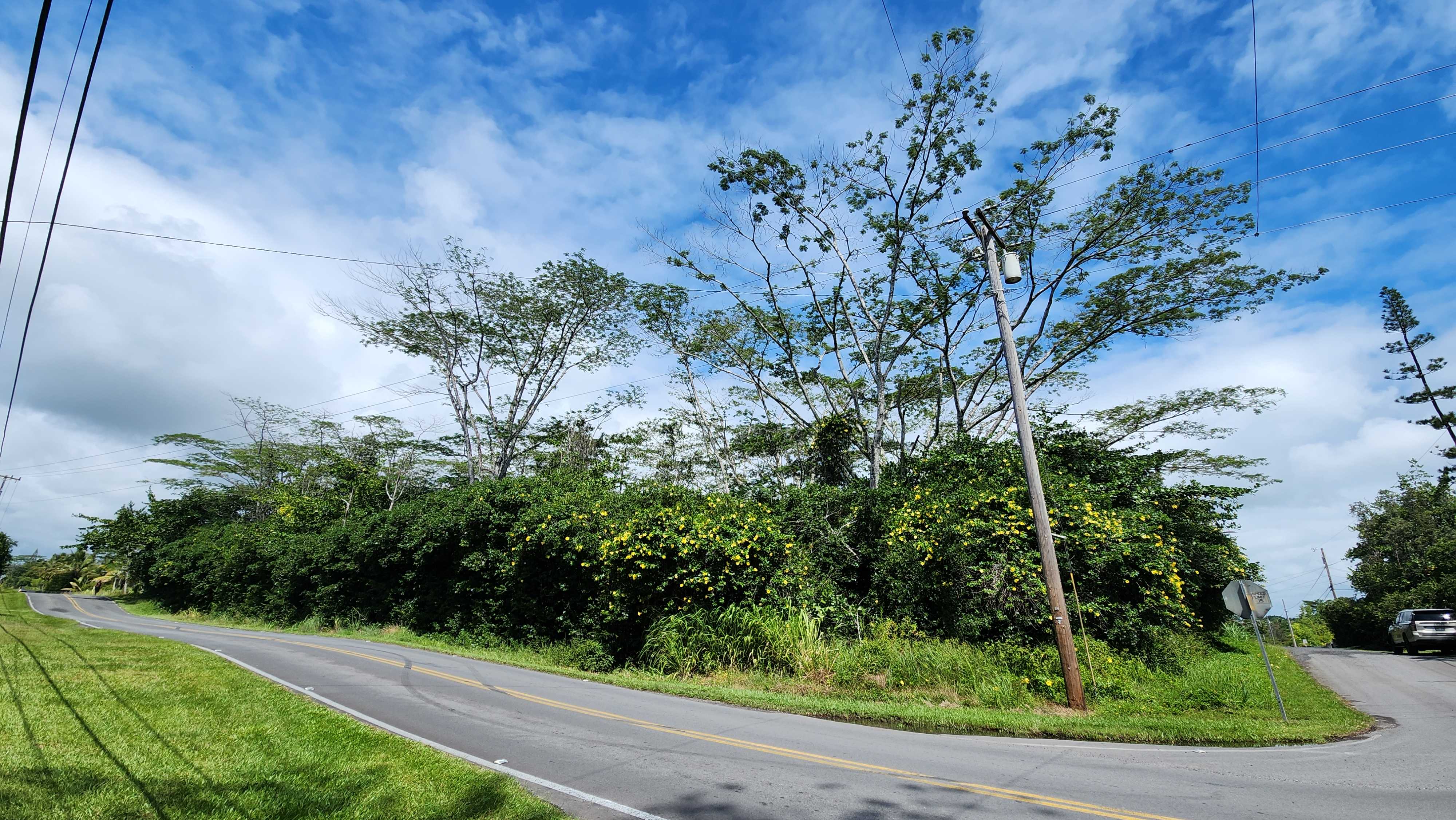 Keaau, HI 96749,15-1746 9TH AVE