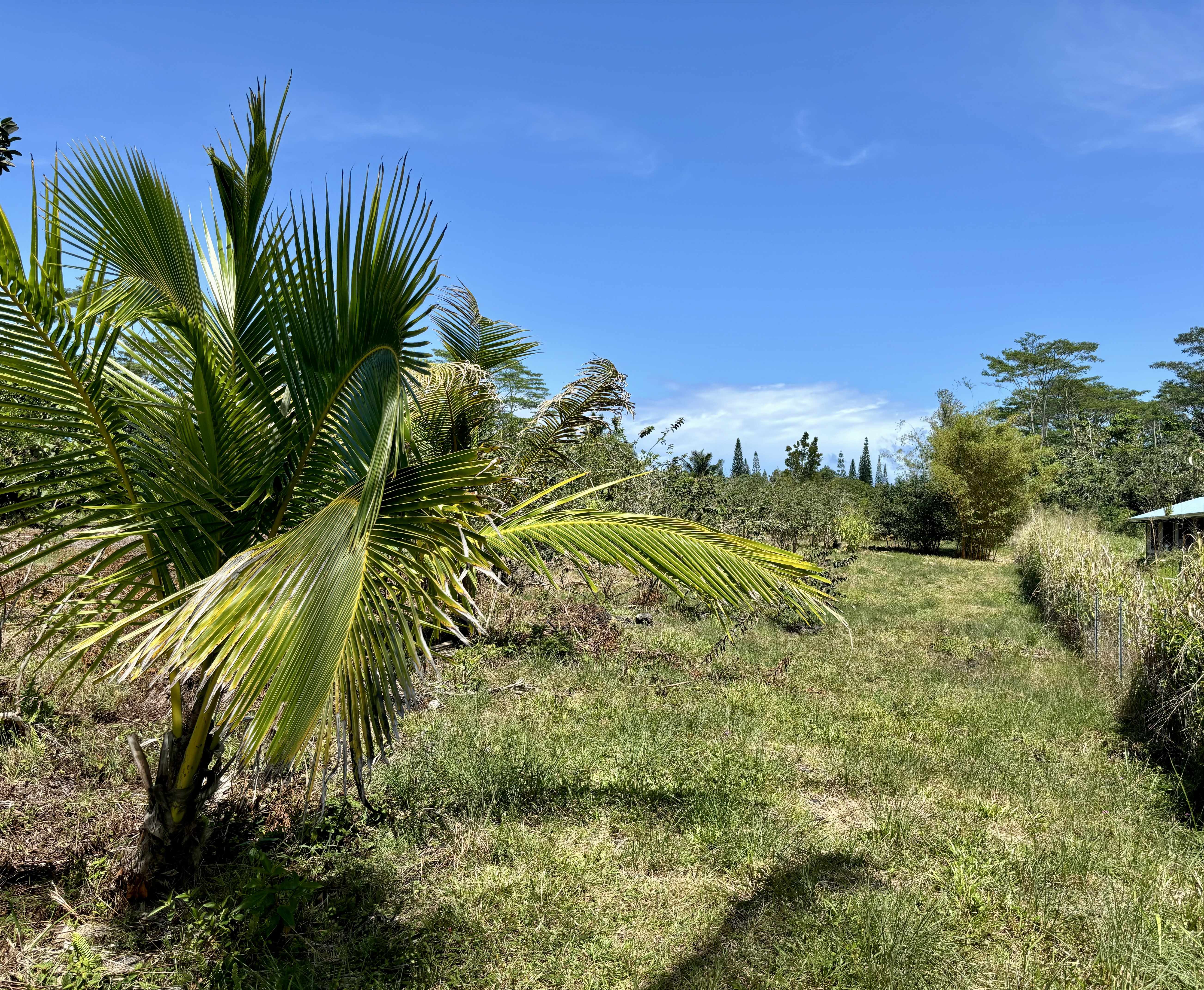 15-1429 16TH AVE, Keaau, HI 96749