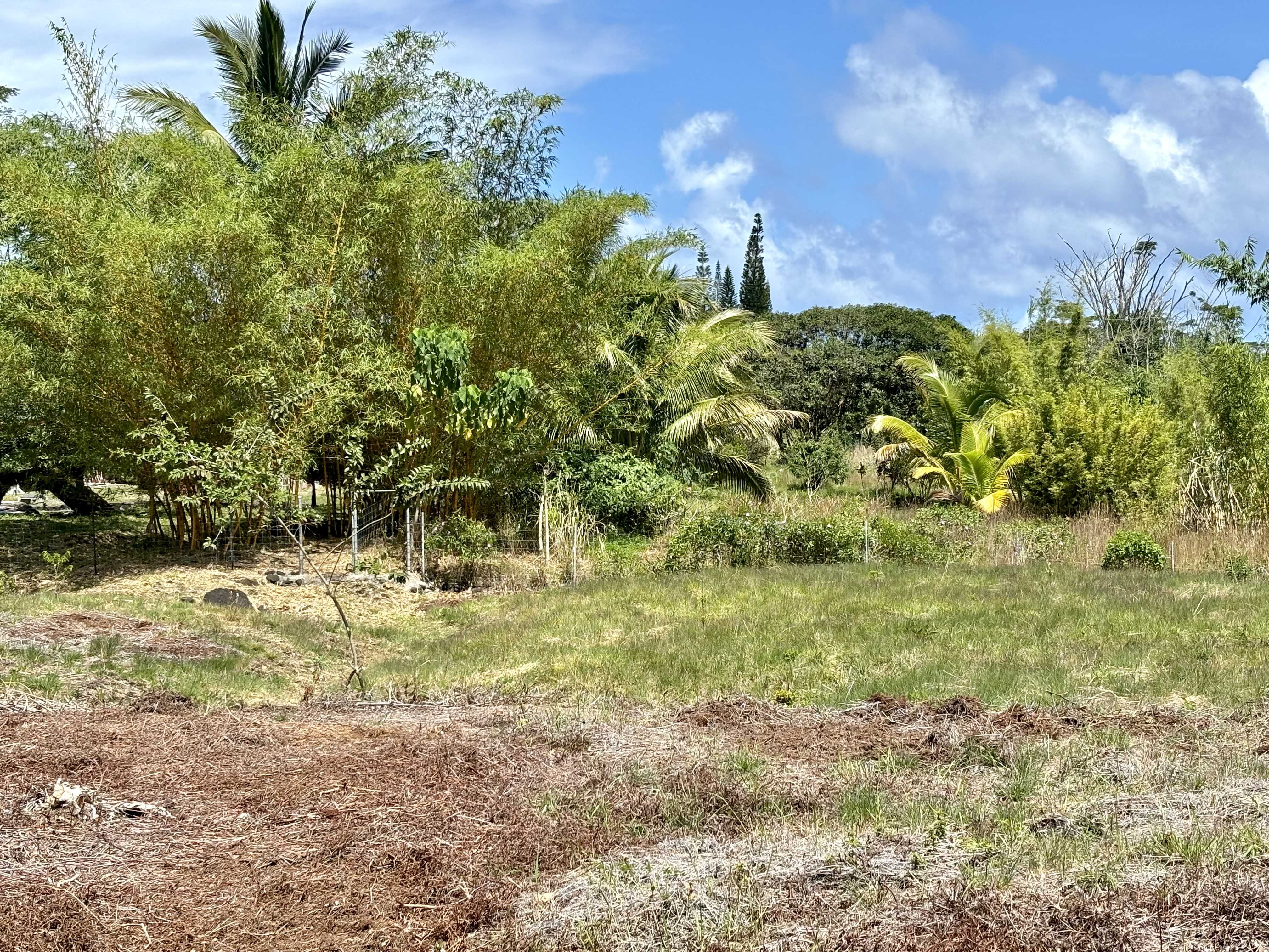 15-1429 16TH AVE, Keaau, HI 96749