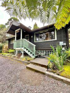 Volcano, HI 96785,19-4095 ANUHEA CIRCLE DR