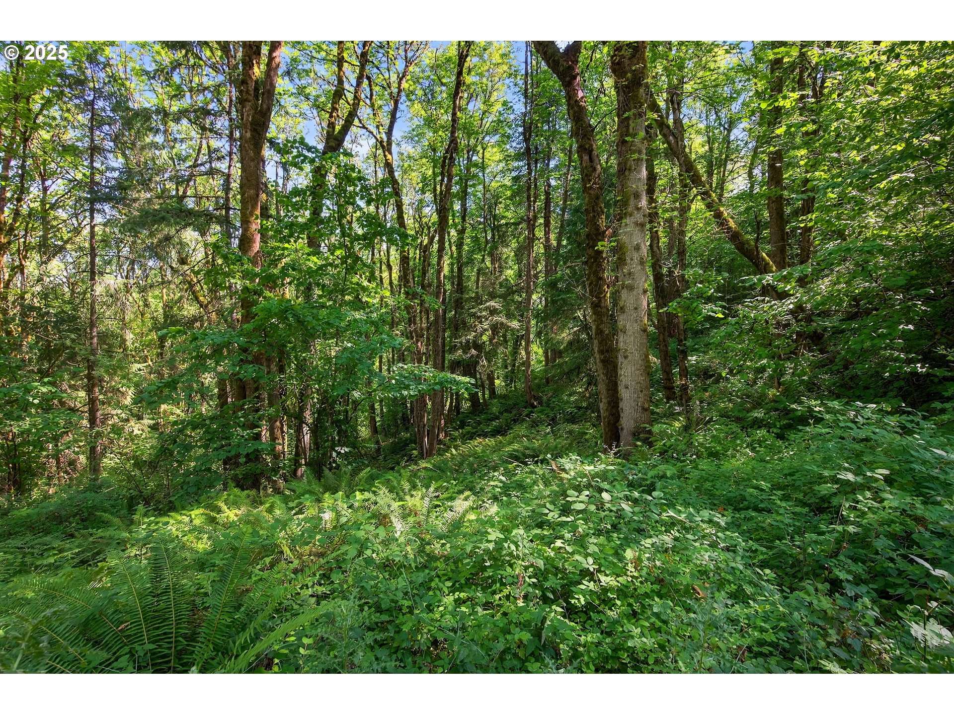 Portland, OR 97239,5144 SW NORTHWOOD AVE