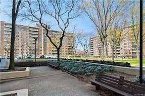 Brooklyn, NY 11207,12399 Flatlands AVE #9L