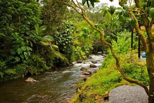 Hilo, HI 96720,289 WAINAKU ST