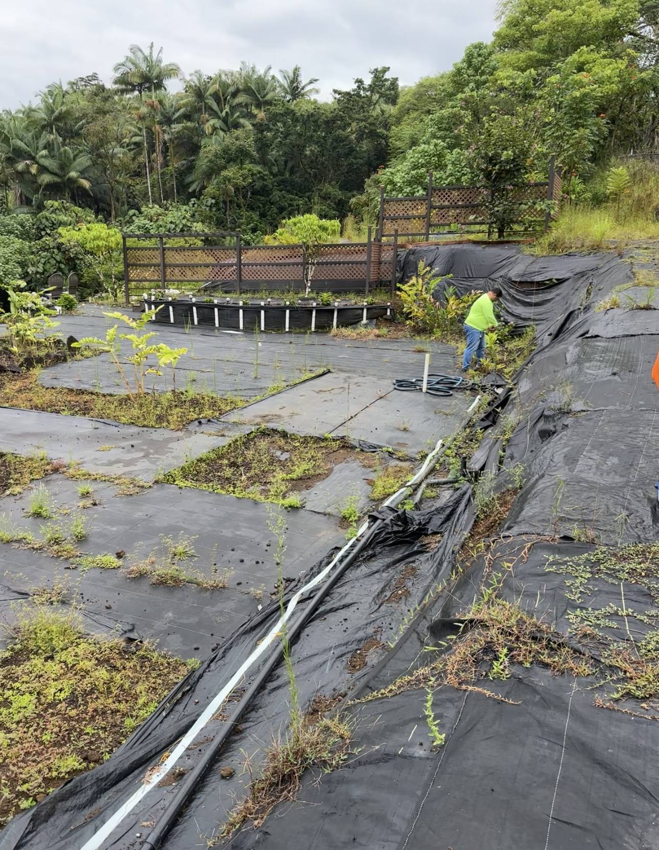 Hilo, HI 96720,289 WAINAKU ST