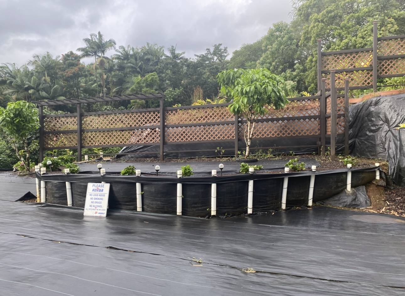 Hilo, HI 96720,289 WAINAKU ST