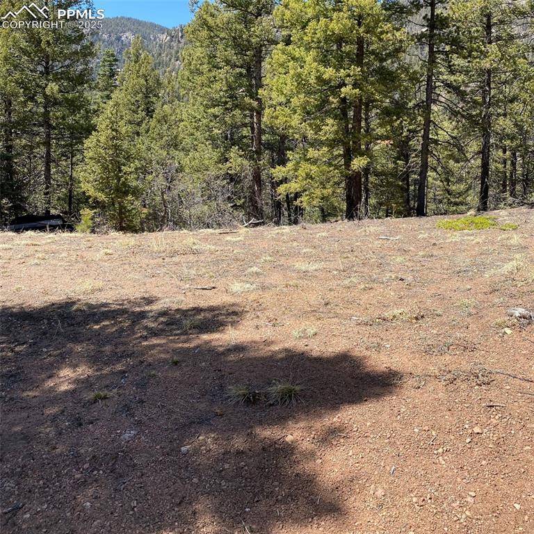 Colorado Springs, CO 80926,Little Turkey Creek RD