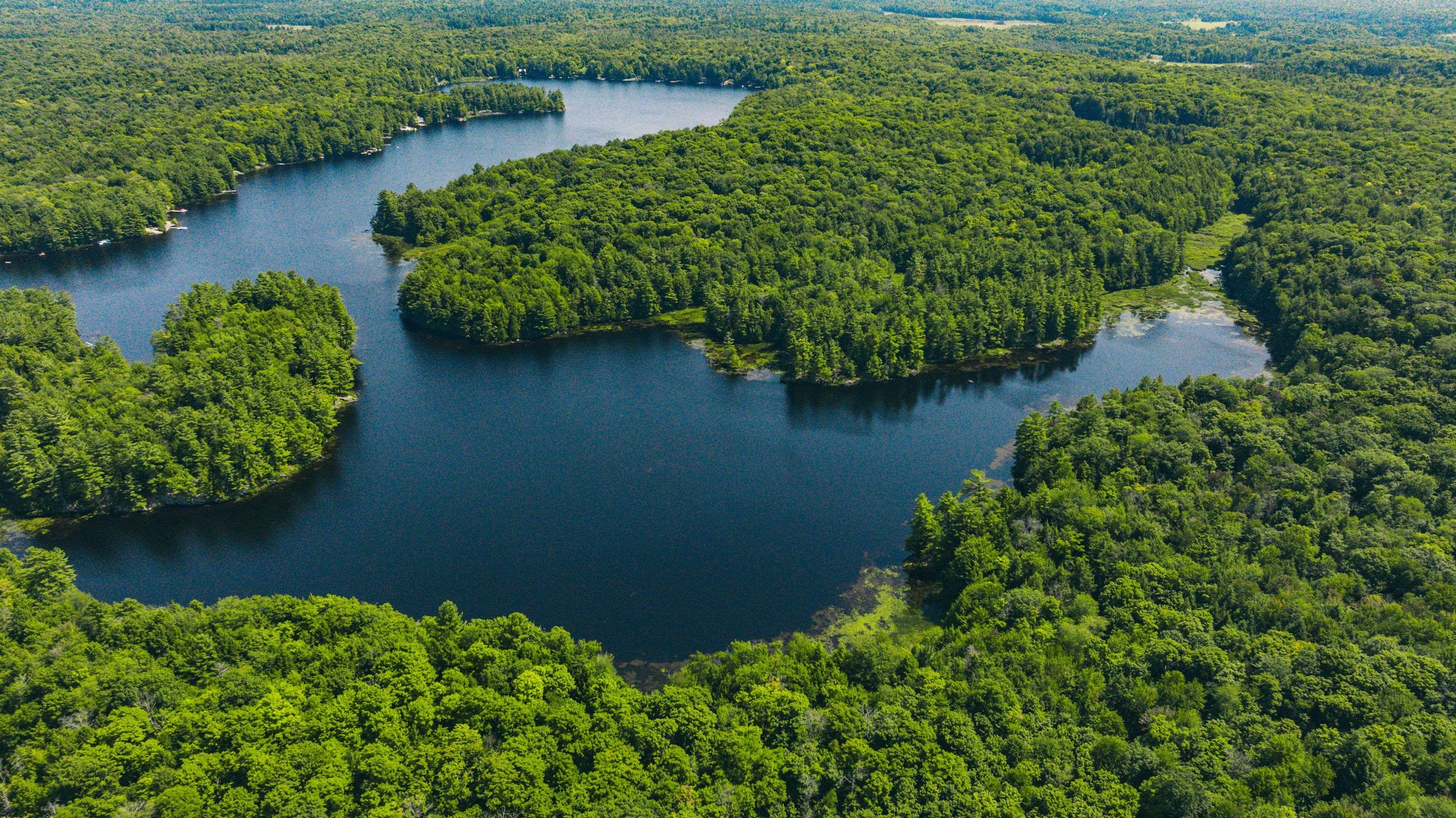 Muskoka Lakes, ON P0B 1M0,0 Windermere RD