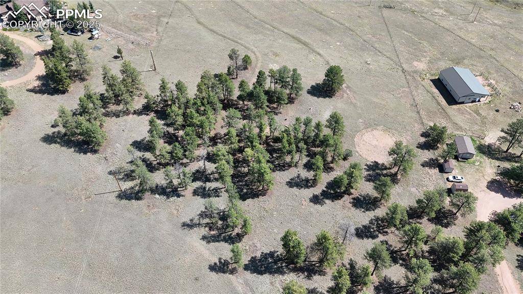 Florissant, CO 80816,431 High Chateau RD