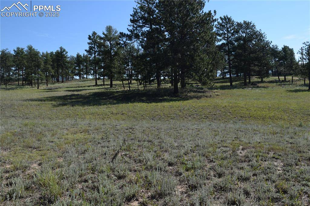 Florissant, CO 80816,431 High Chateau RD