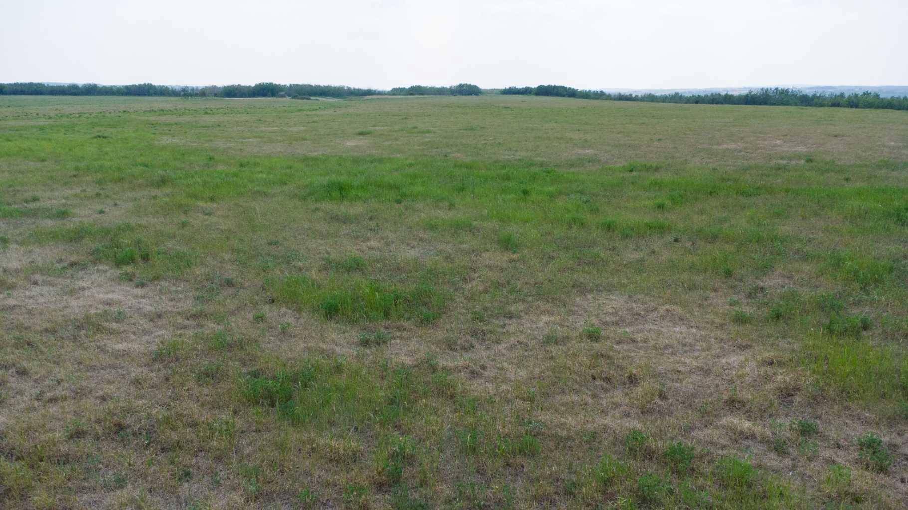 Rural Vermilion River County Of, AB T0B 0X0,NW & SW 35-50-4-4