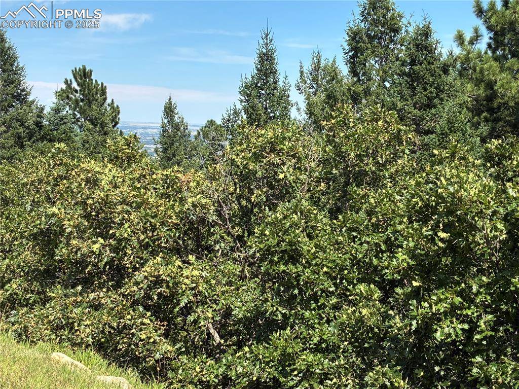 Colorado Springs, CO 80906,4875 Willow Stone HTS