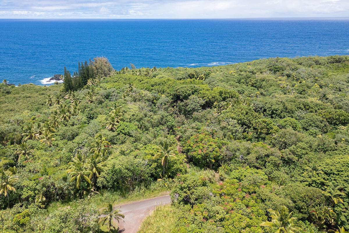 Pahoa, HI 96778,GOVERNMENT BEACH RD