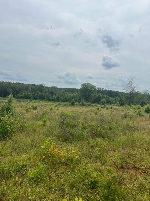 Plain Dealing, LA 71064,280 Martin Road