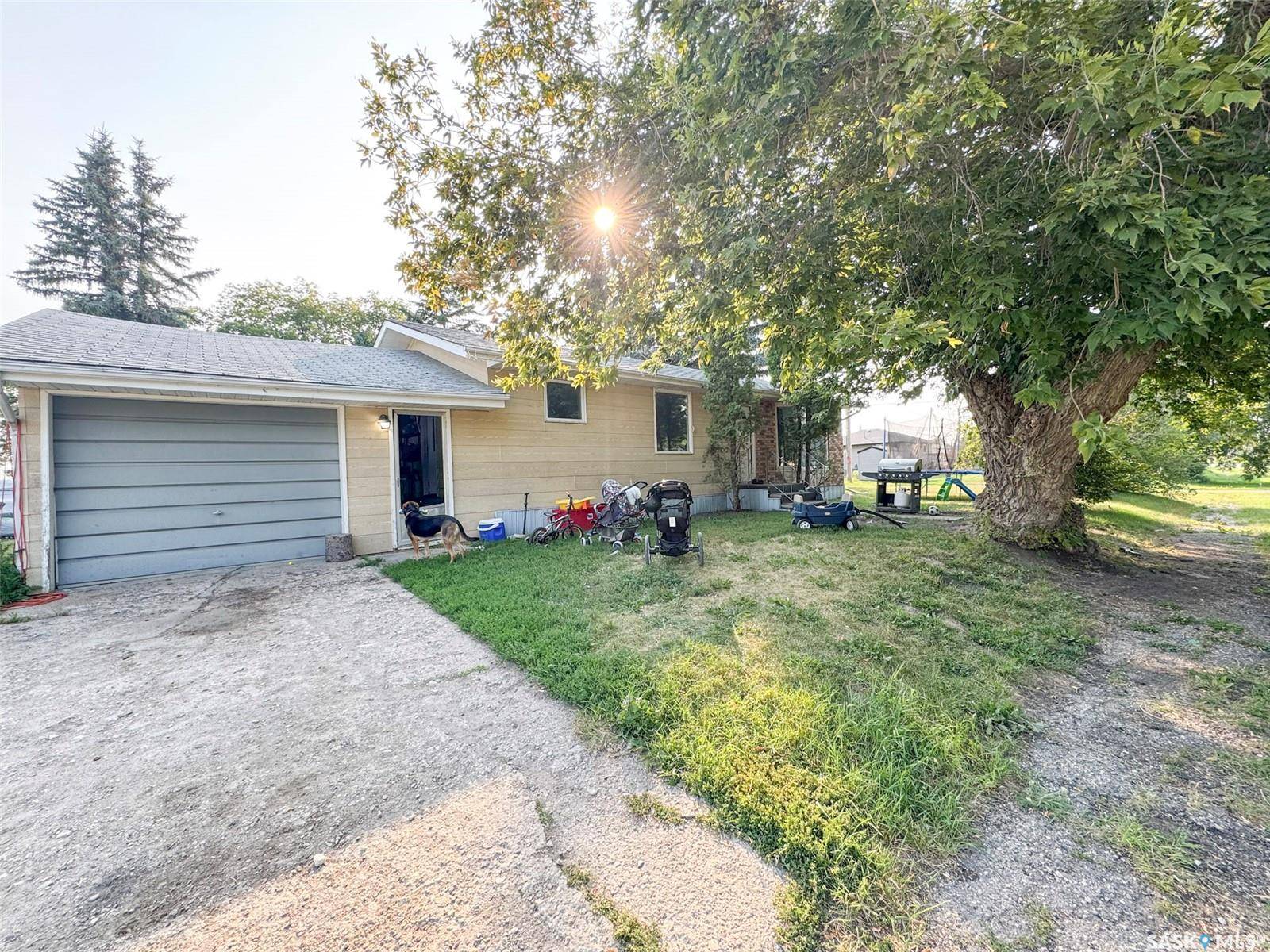 Theodore, SK S0A 4C0,202 Yorkton AVENUE