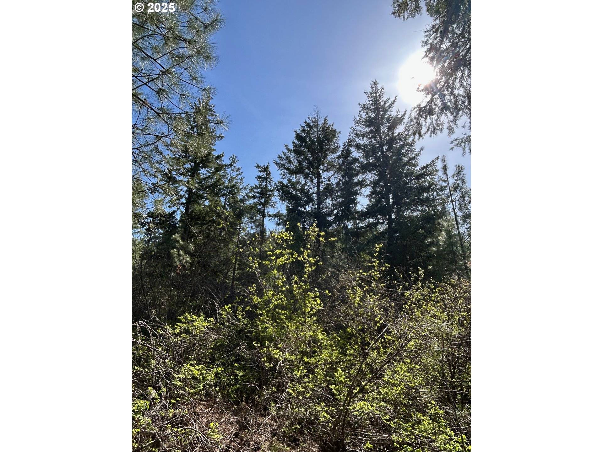 Goldendale, WA 98620,Pot Hole