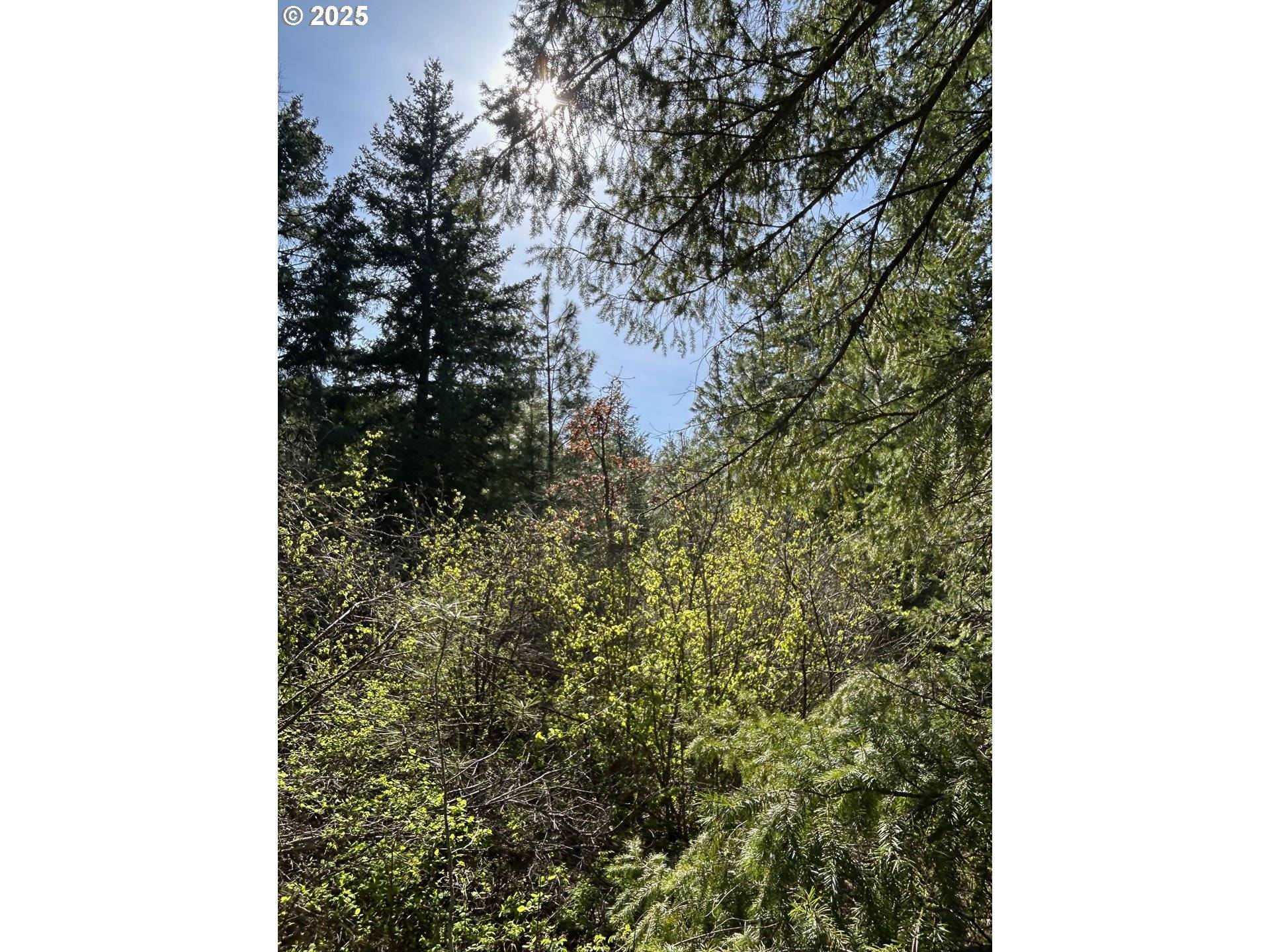 Goldendale, WA 98620,Pot Hole