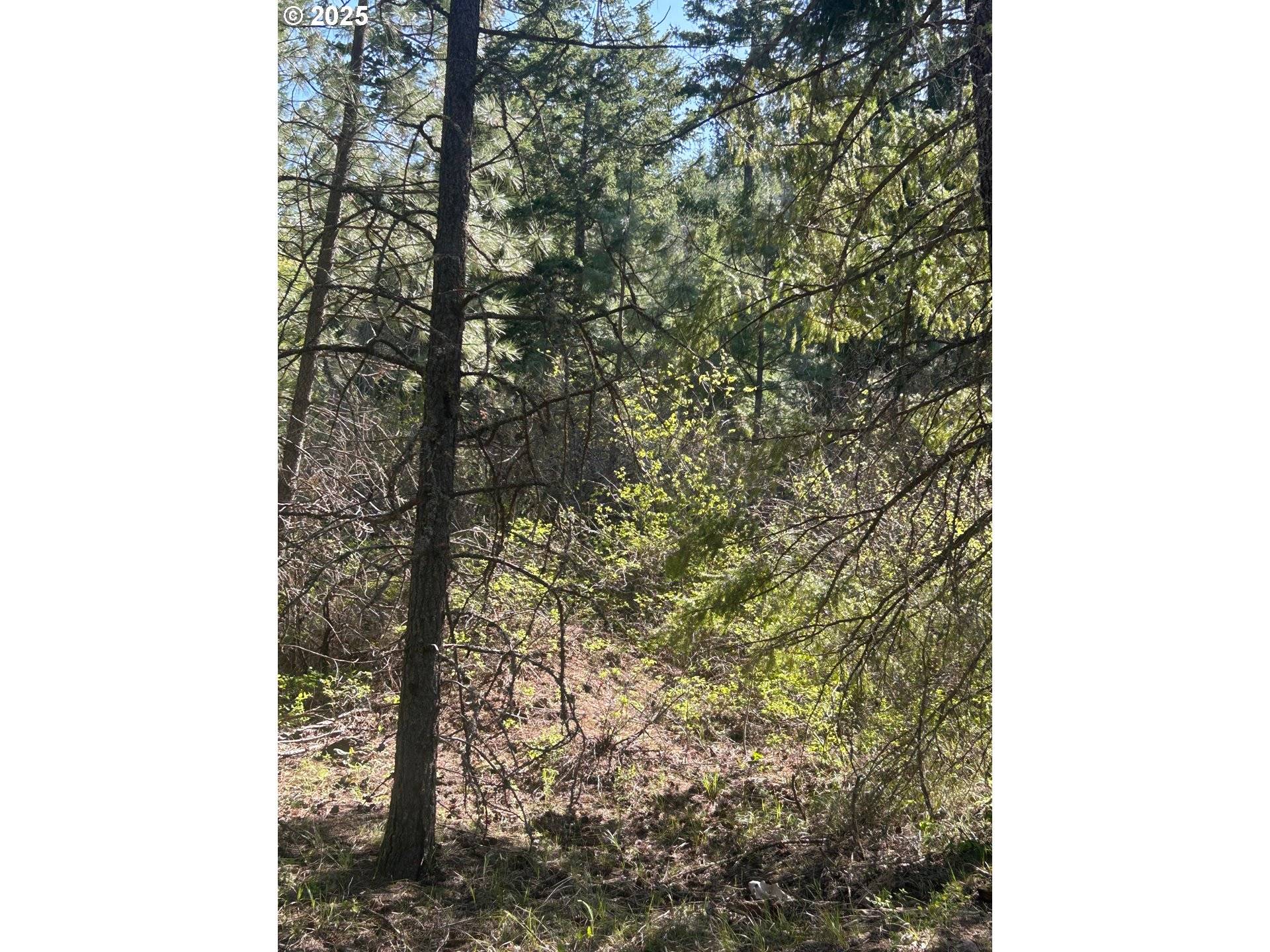 Goldendale, WA 98620,Pot Hole