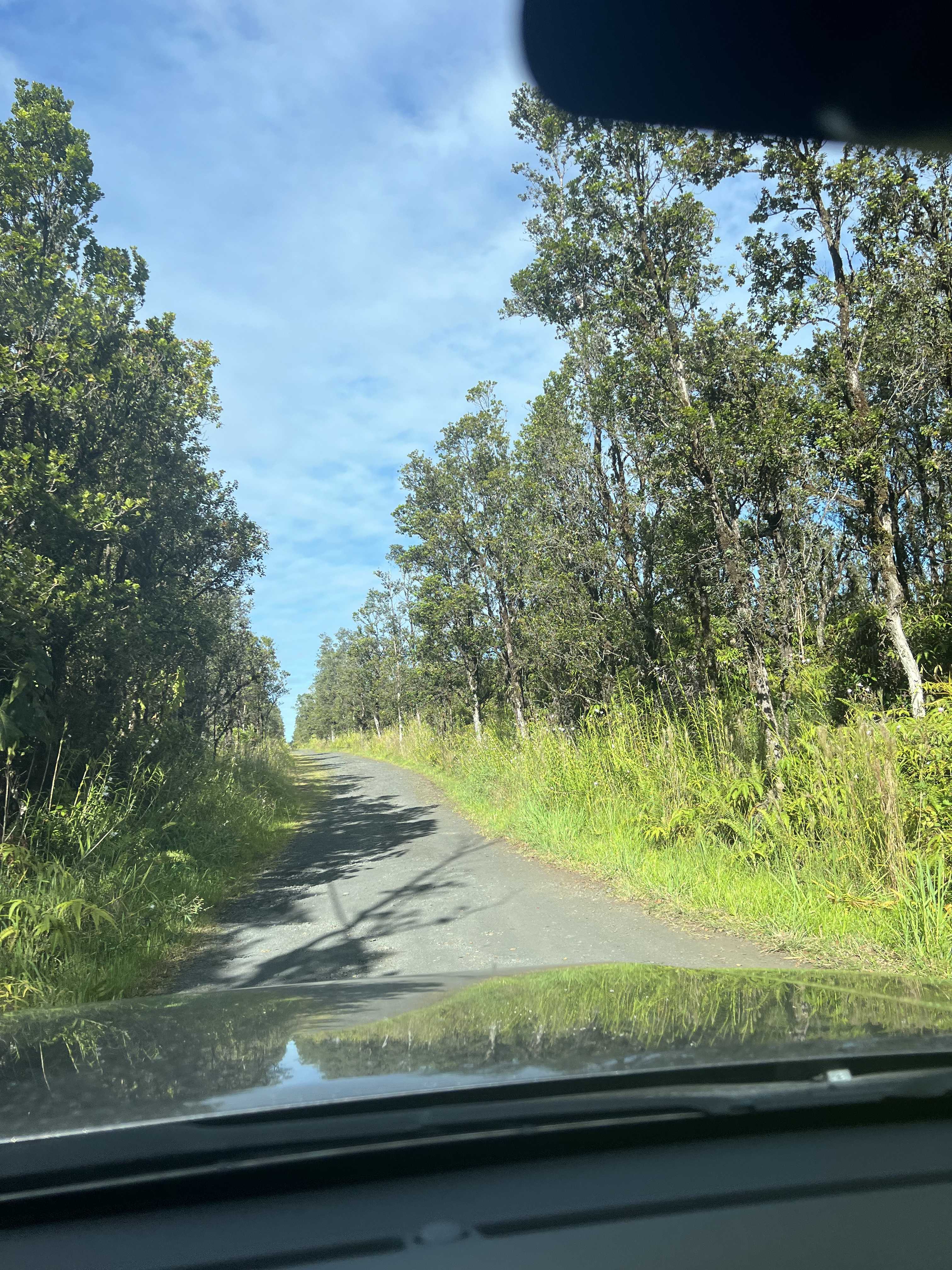 Mountain View, HI 96771,WAILELE ST