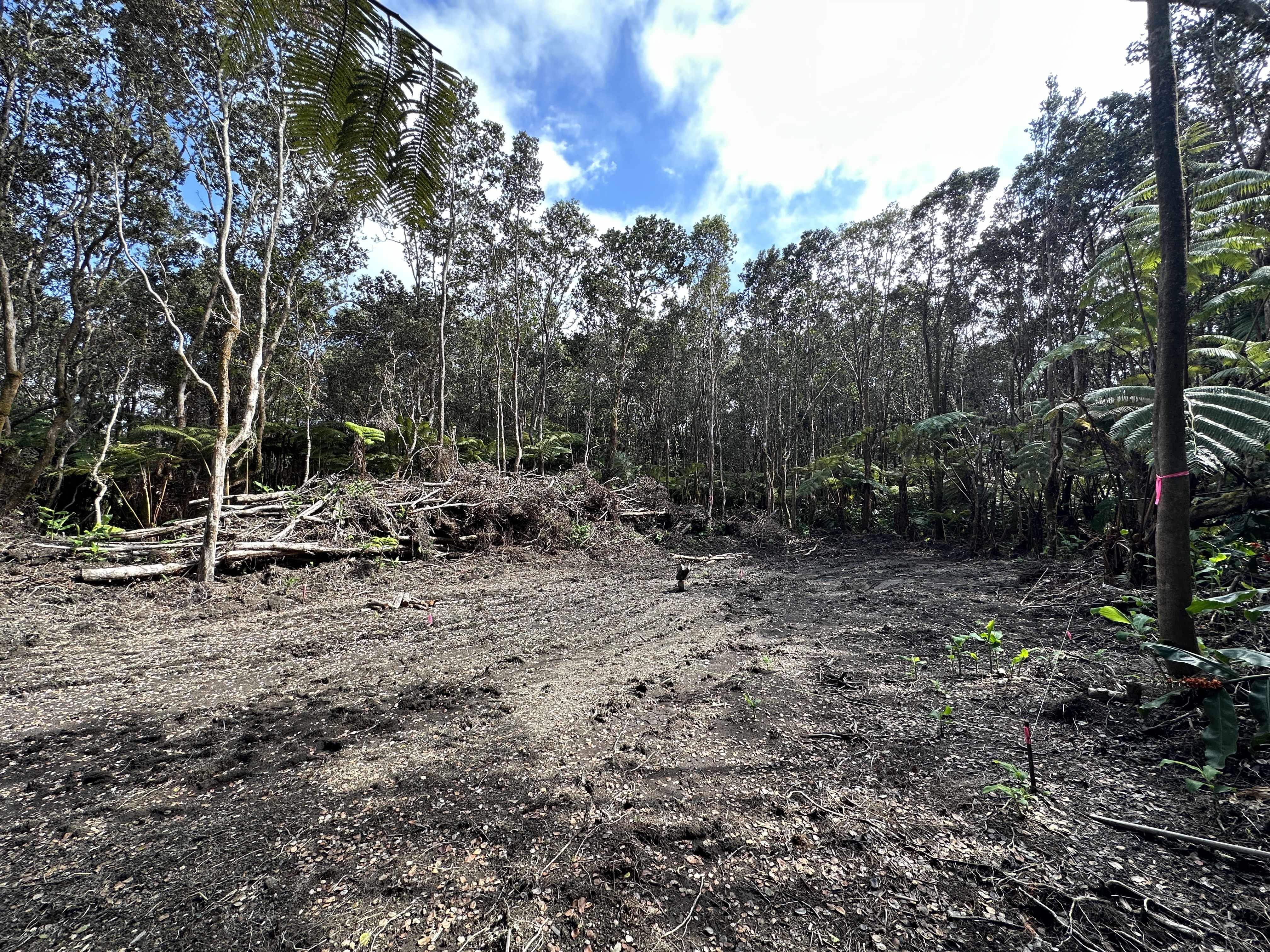 Volcano, HI 96785,11-3891 3RD ST