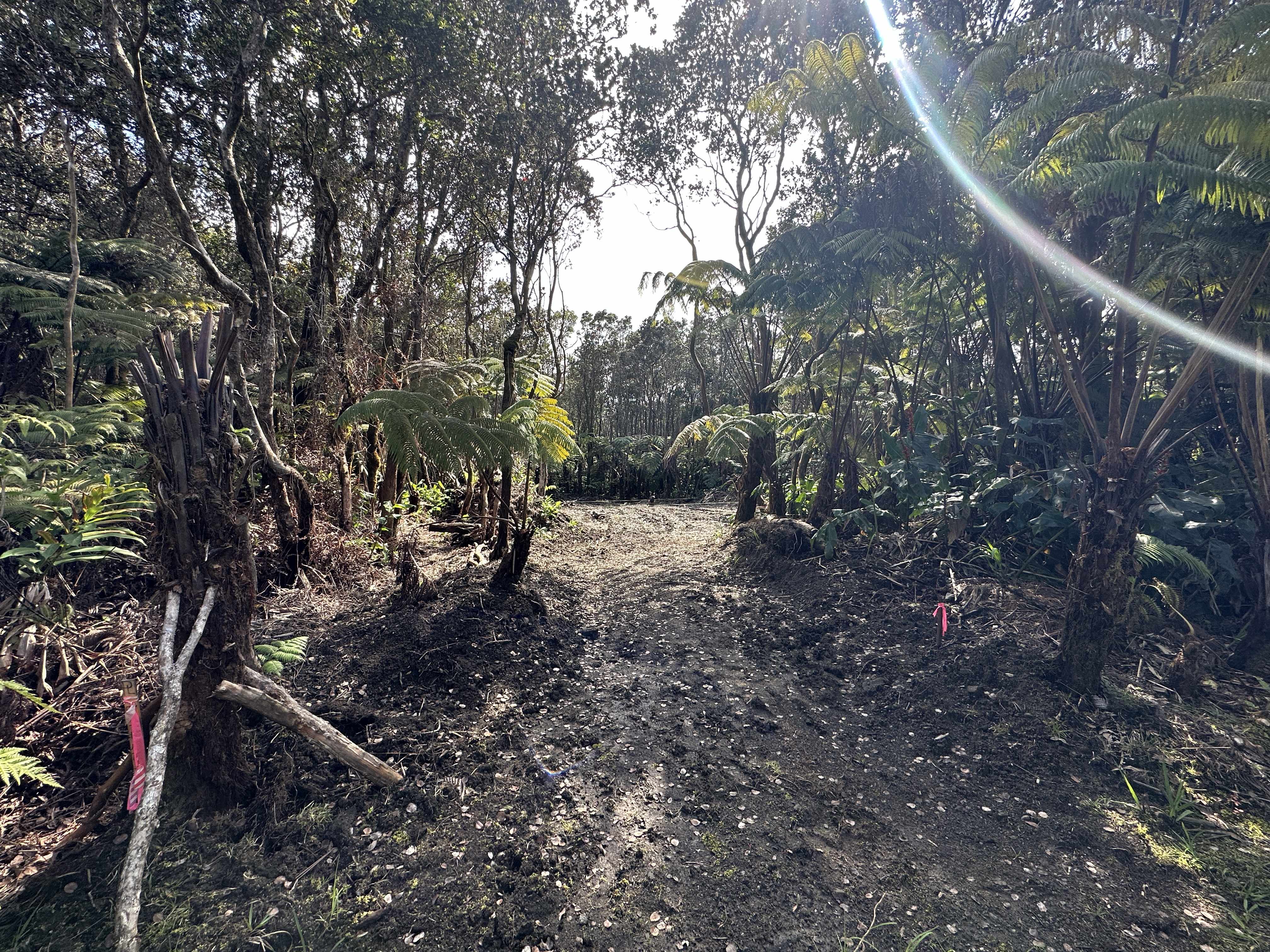 Volcano, HI 96785,11-3891 3RD ST