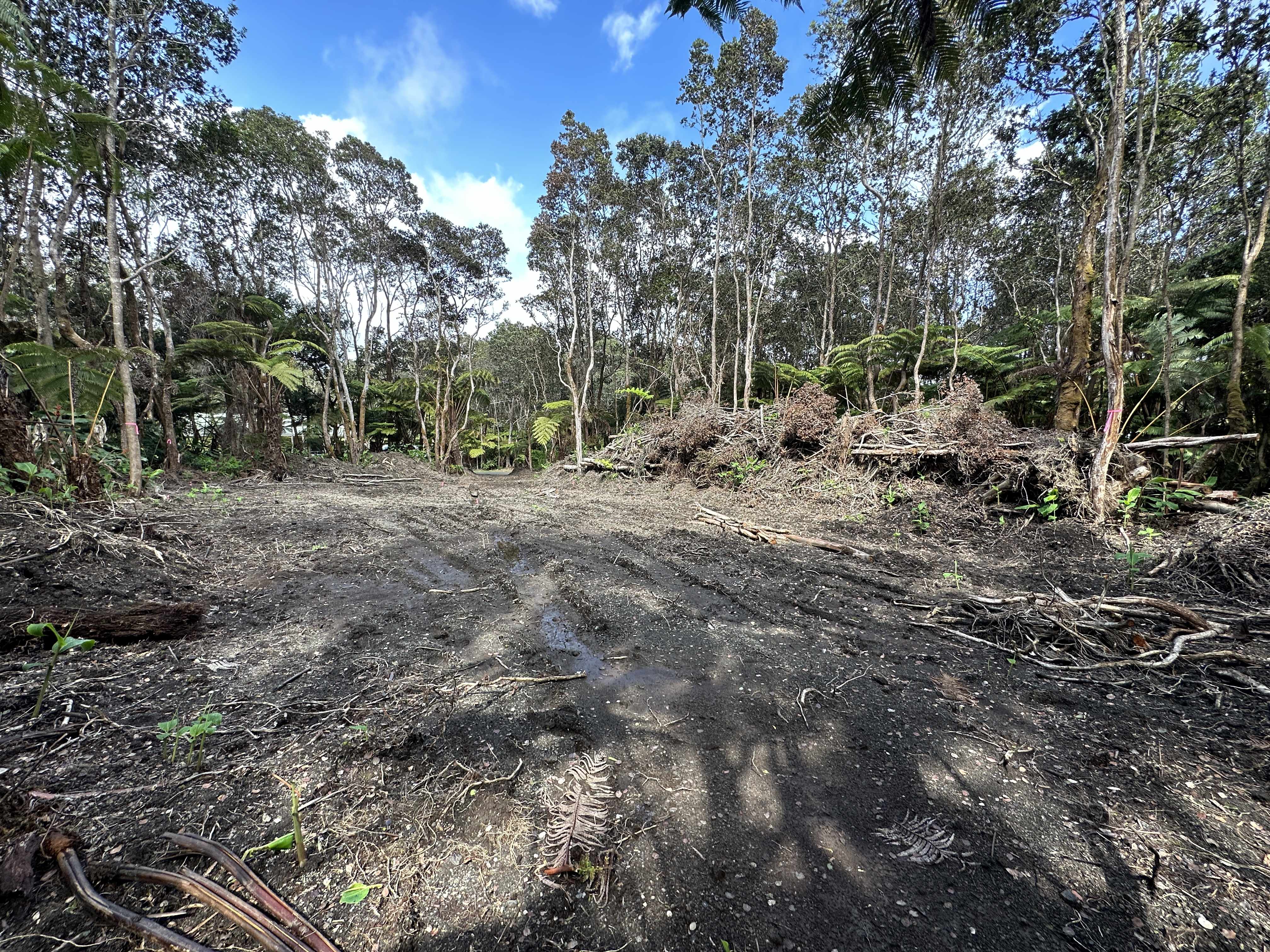 Volcano, HI 96785,11-3891 3RD ST