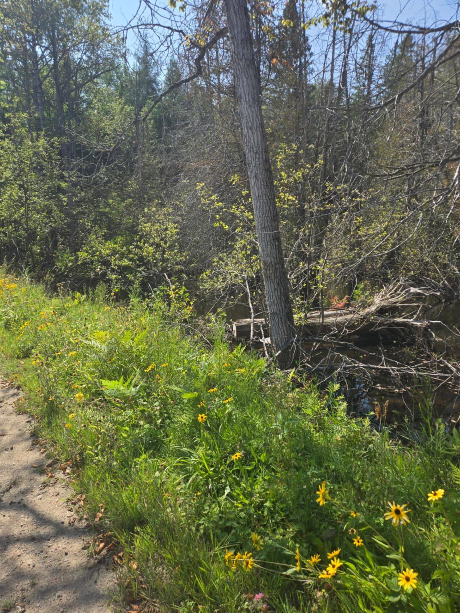 Highlands East, ON K0L 3C0,0 MacDuff Road Acres E