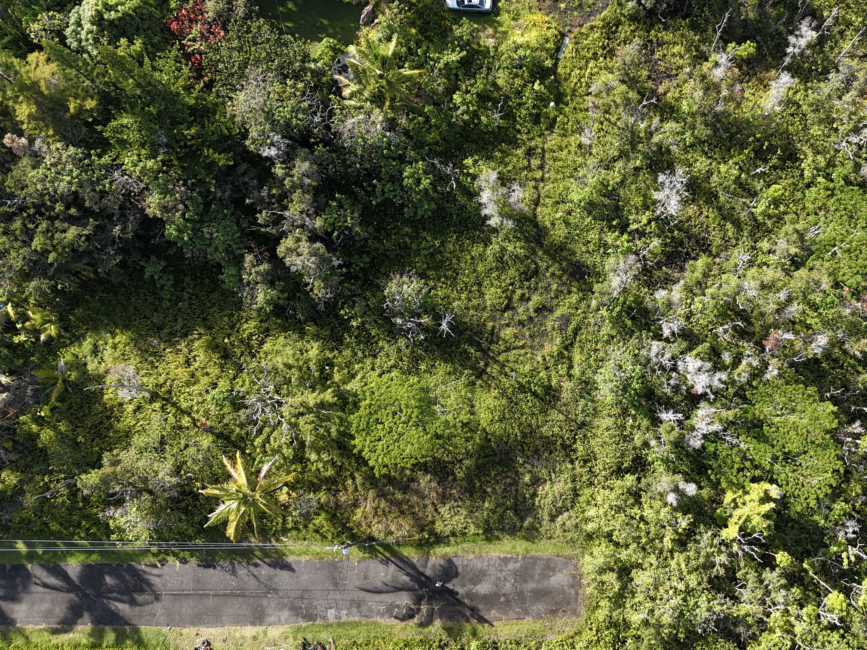 Pahoa, HI 96778,LAWAIANUI ST