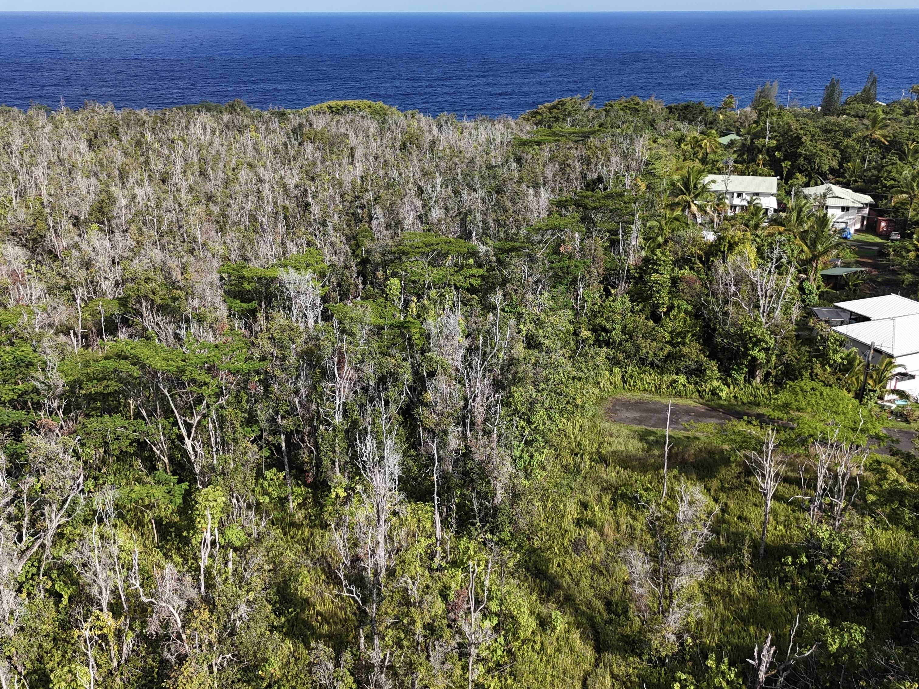 Pahoa, HI 96778,LAWAIANUI ST