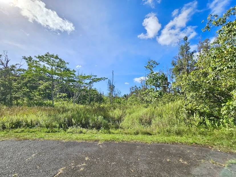 Pahoa, HI 96778,LAWAIANUI ST
