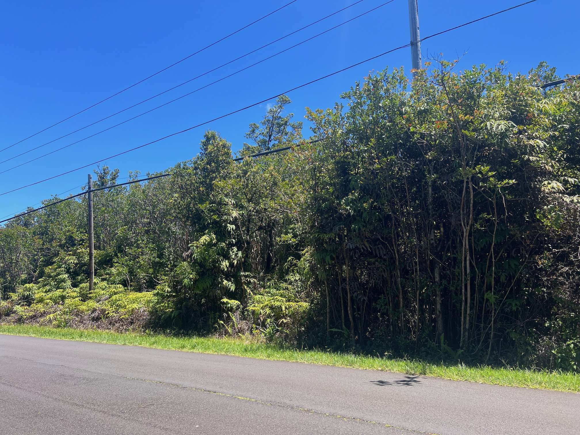 Mountain View, HI 96771,PALAINUI AVE