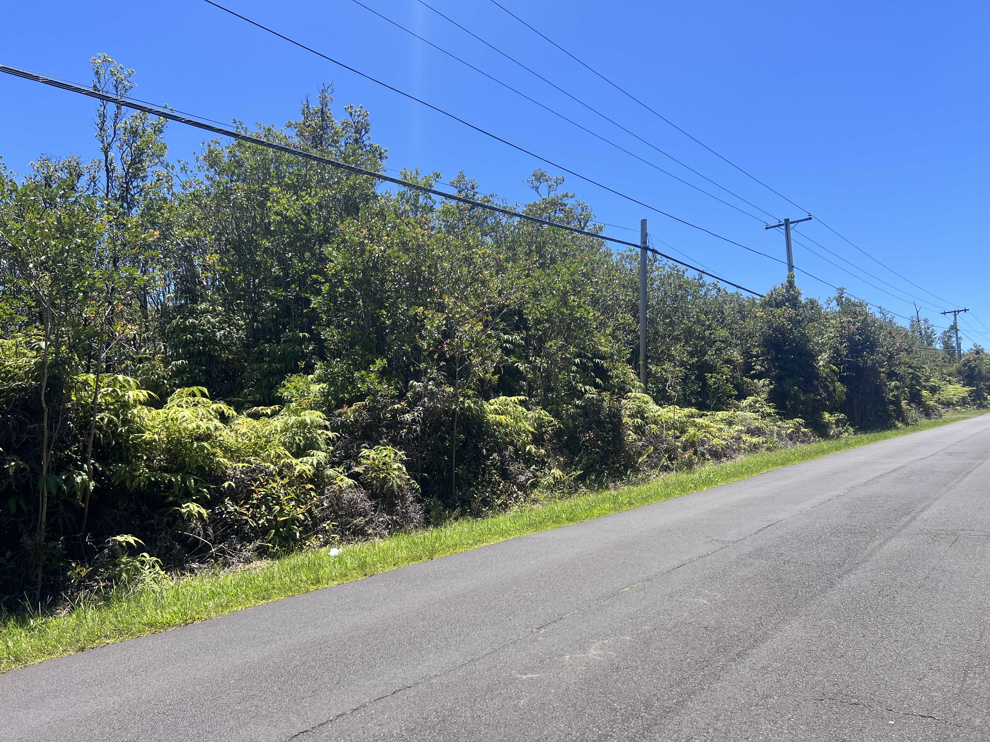 Mountain View, HI 96771,PALAINUI AVE