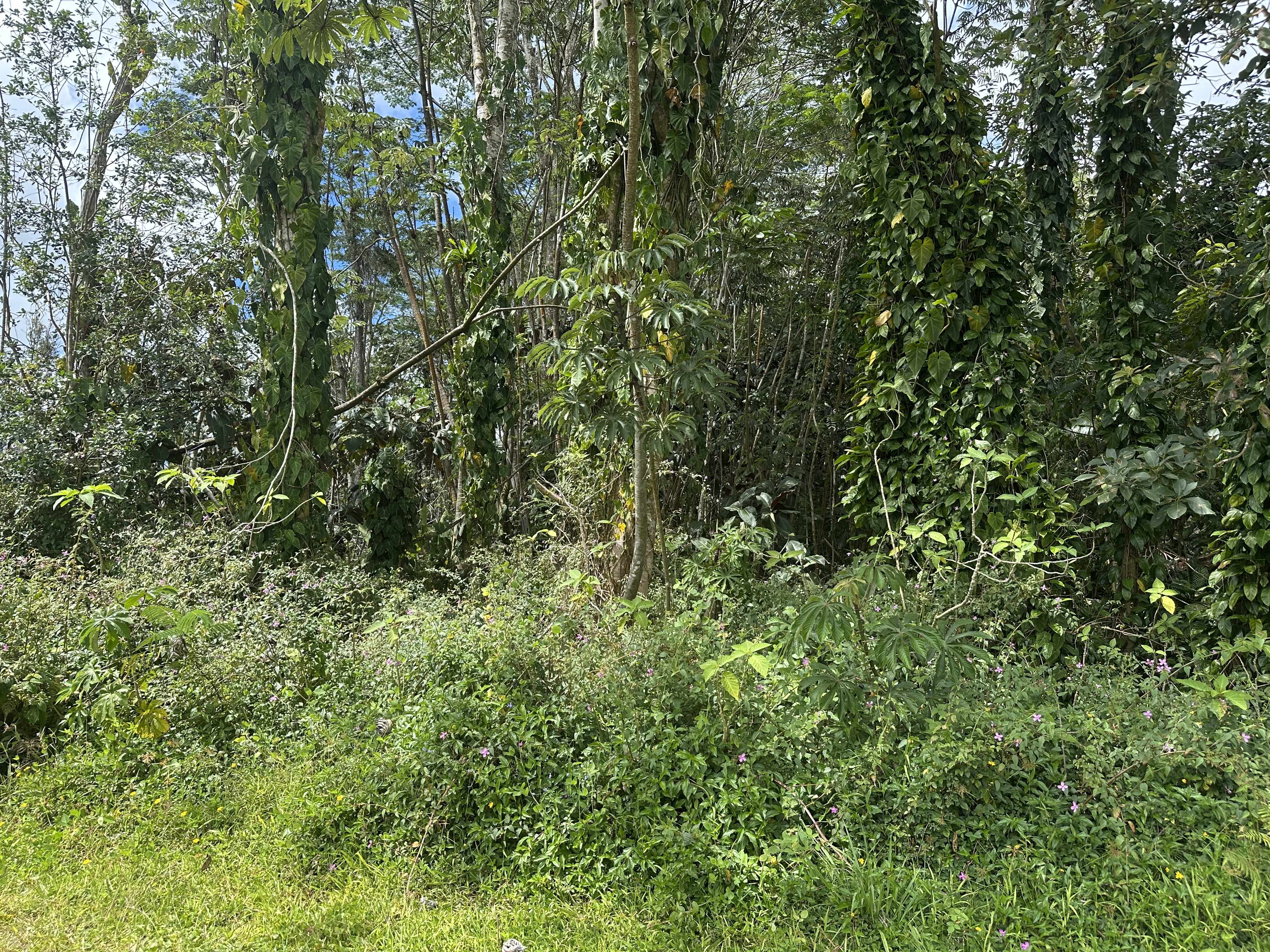 Pahoa, HI 96778,HYLA CIRCLE