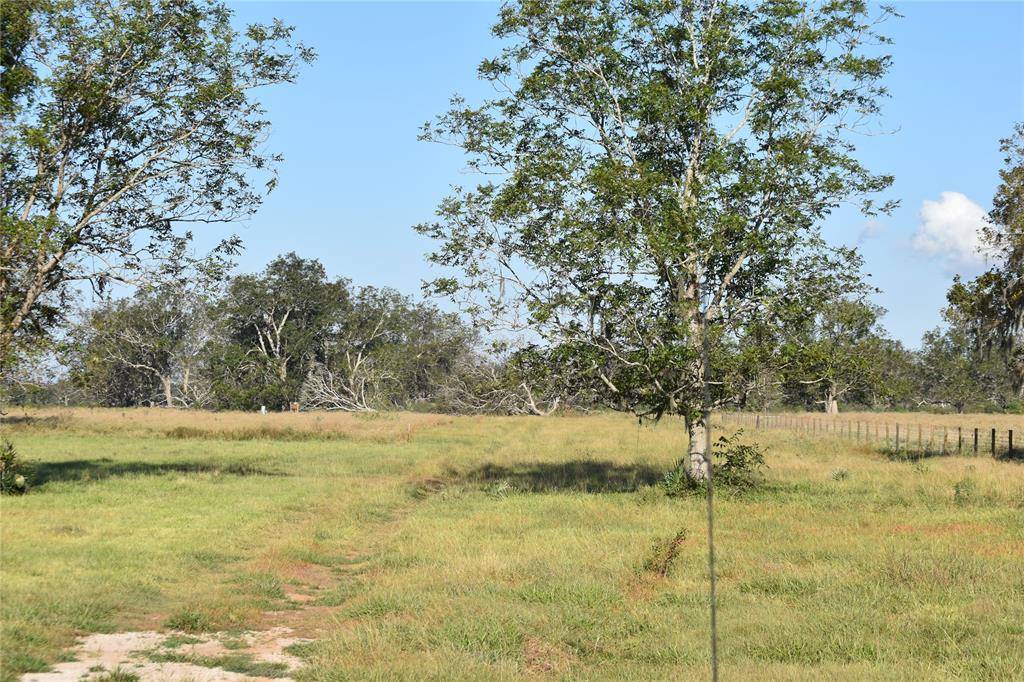 Brazoria, TX 77422,8734 FM 521