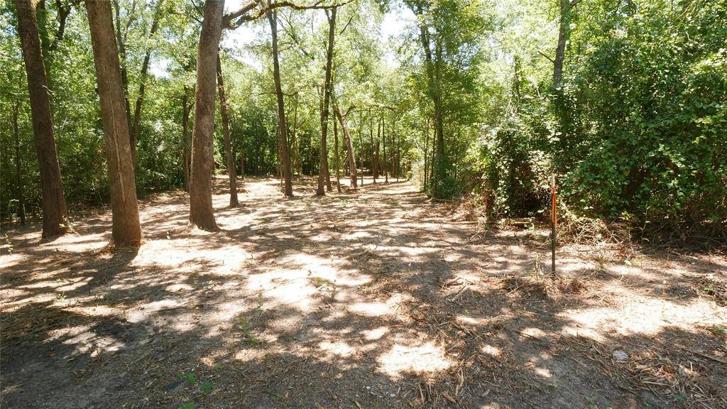 Mabank, TX 75156,TBD Garner Drive