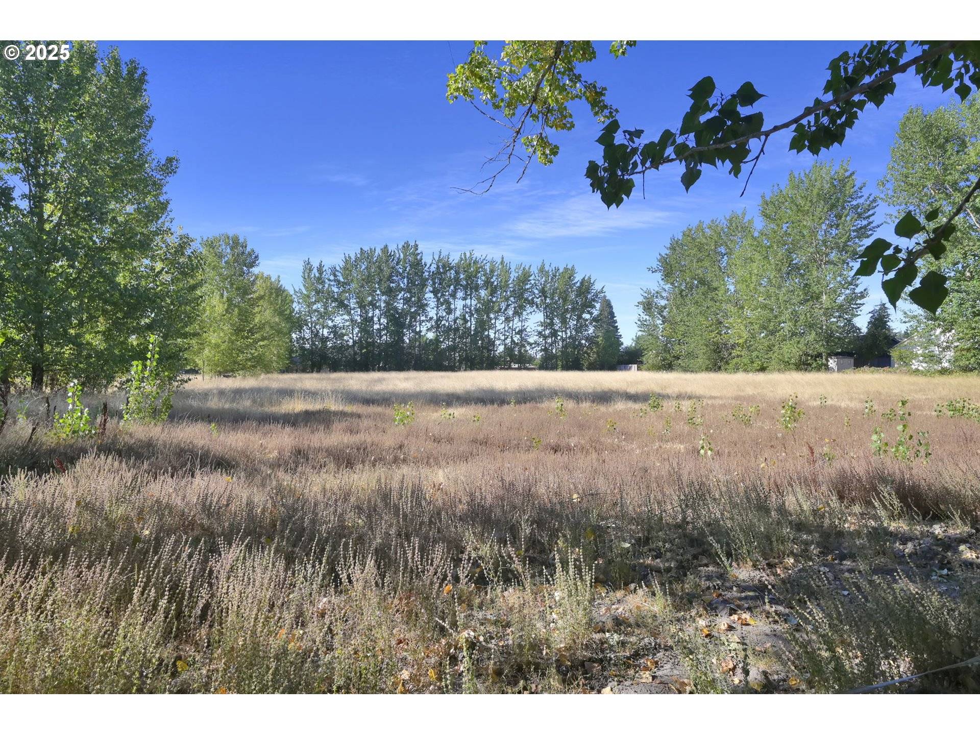 Harrisburg, OR 97446,950 LASALLE ST