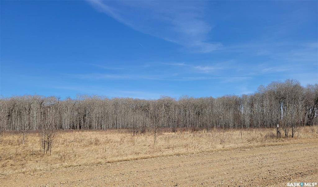 Saltcoats Rm No. 213, SK S0A 0B2,9 Lakeshore DRIVE