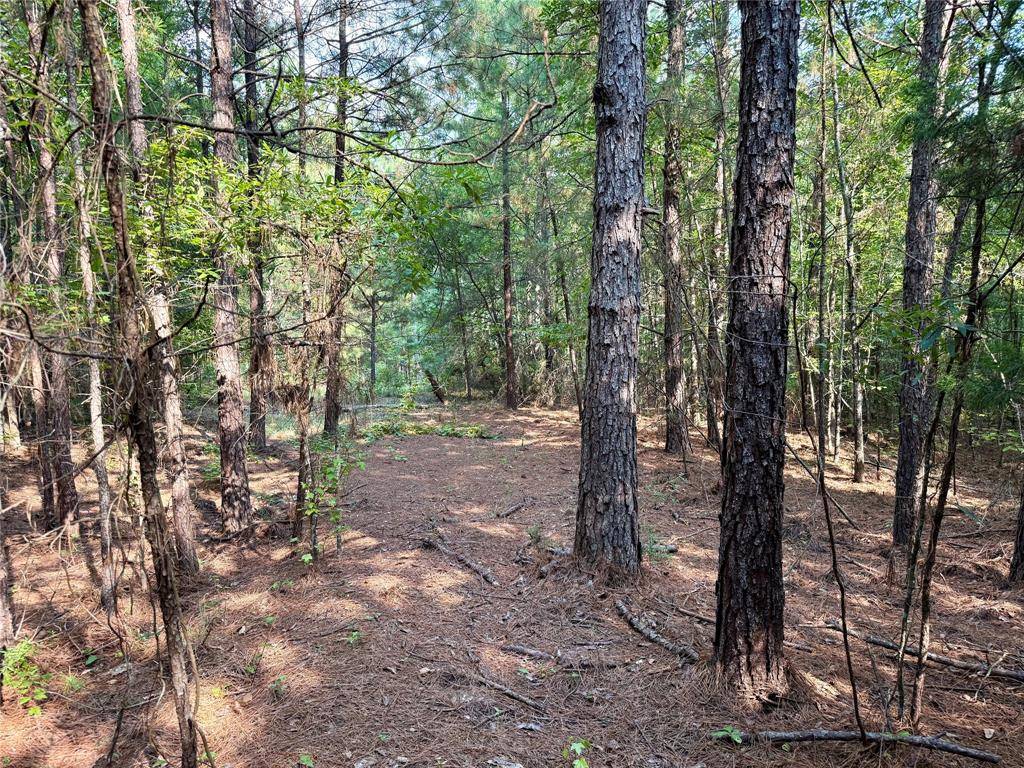 Simsboro, LA 71275,0 Best Road