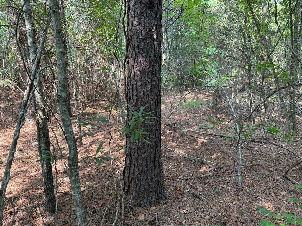 Simsboro, LA 71275,0 Best Road