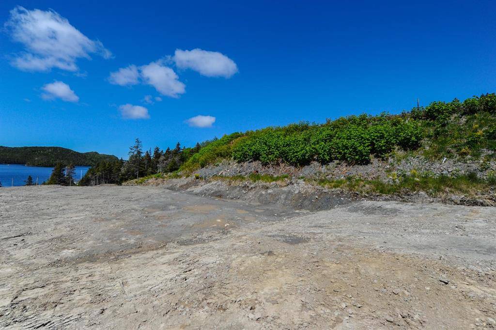 Dunville/harbour Drive, NL A0B 1S0,Lot 1  1313-1315 Main Road