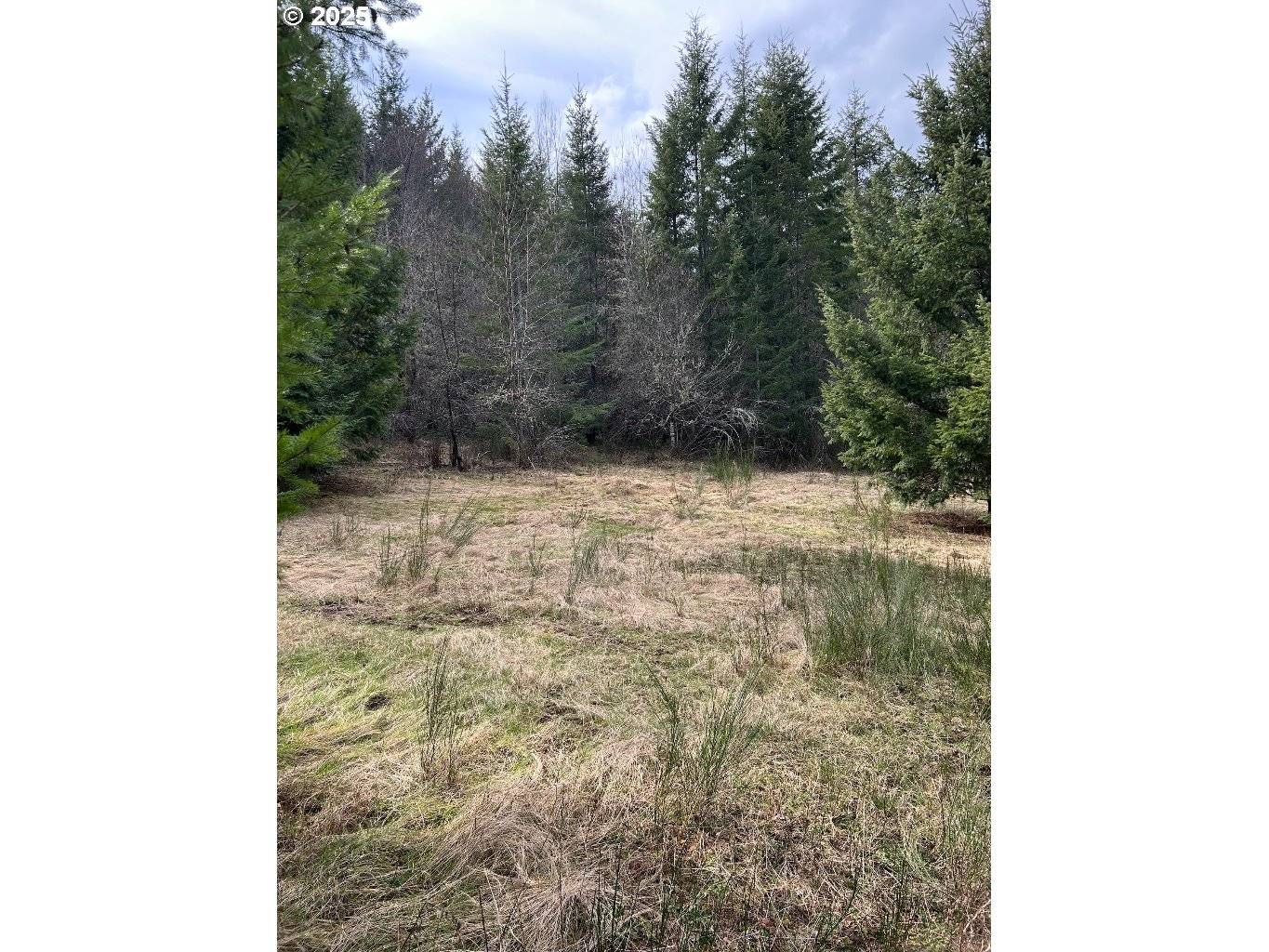 Timber, OR 97144,59370 NW BROAD WAY