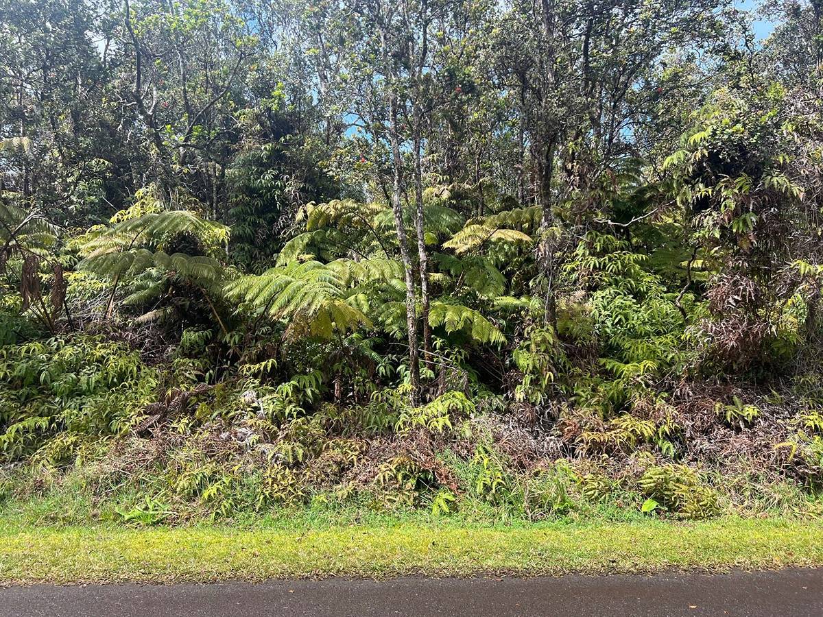 Volcano, HI 96785,ALA OHIA ST