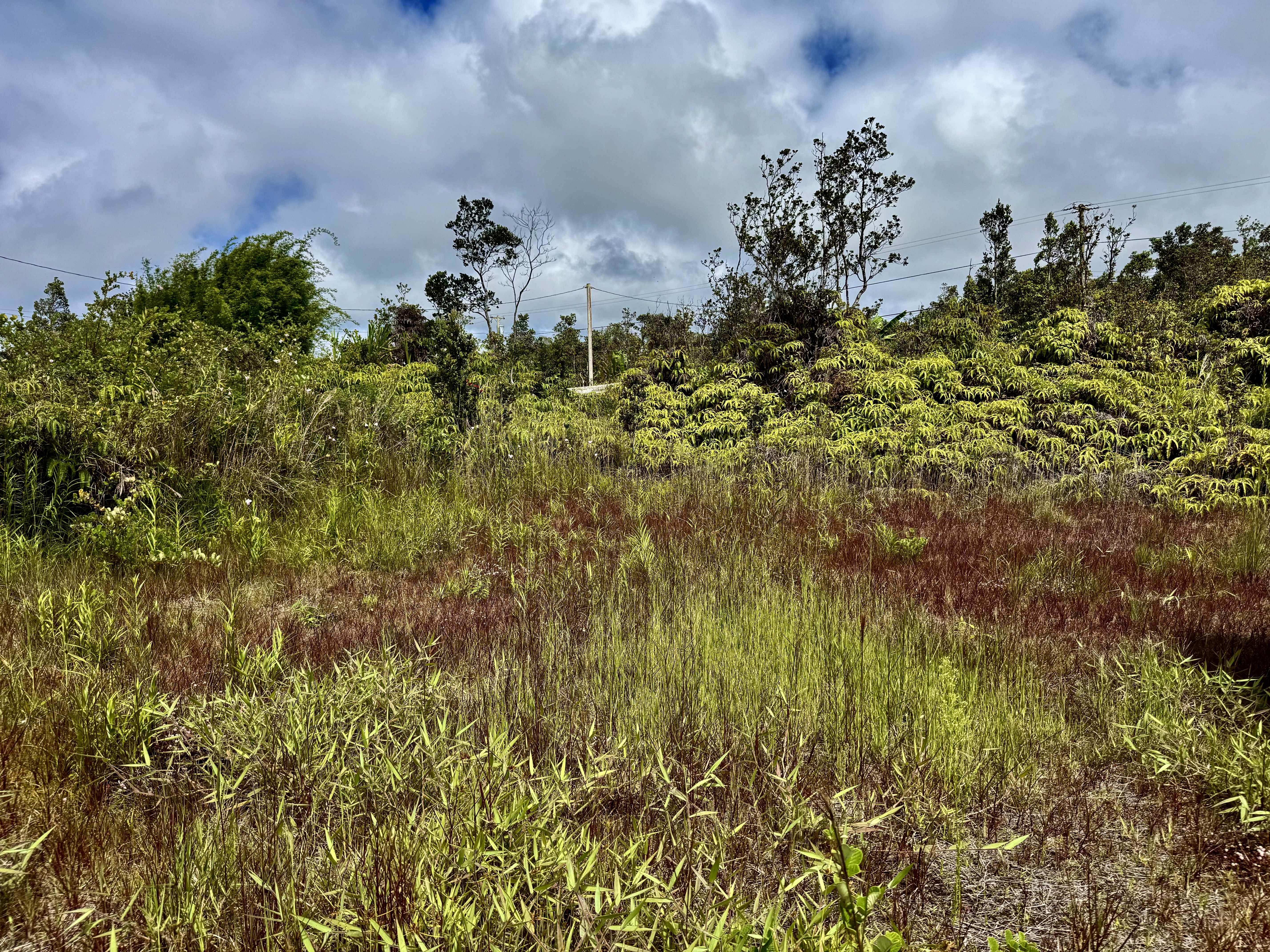 Volcano, HI 96785,11-3124 PA ALII STREET