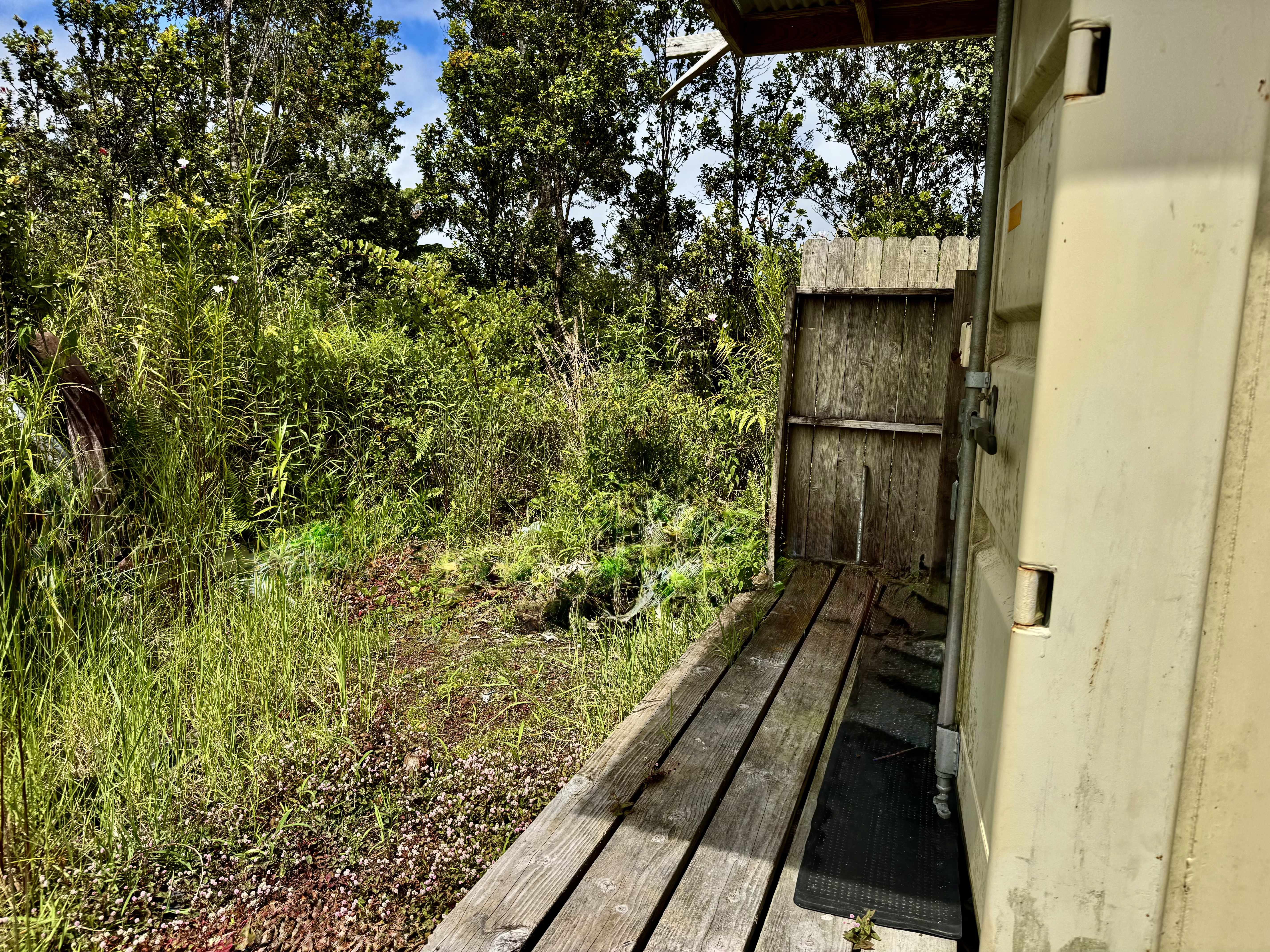 Volcano, HI 96785,11-3124 PA ALII STREET