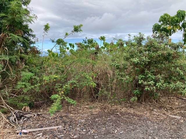 Naalehu, HI 96772,94-5770 HUNE KAI ST