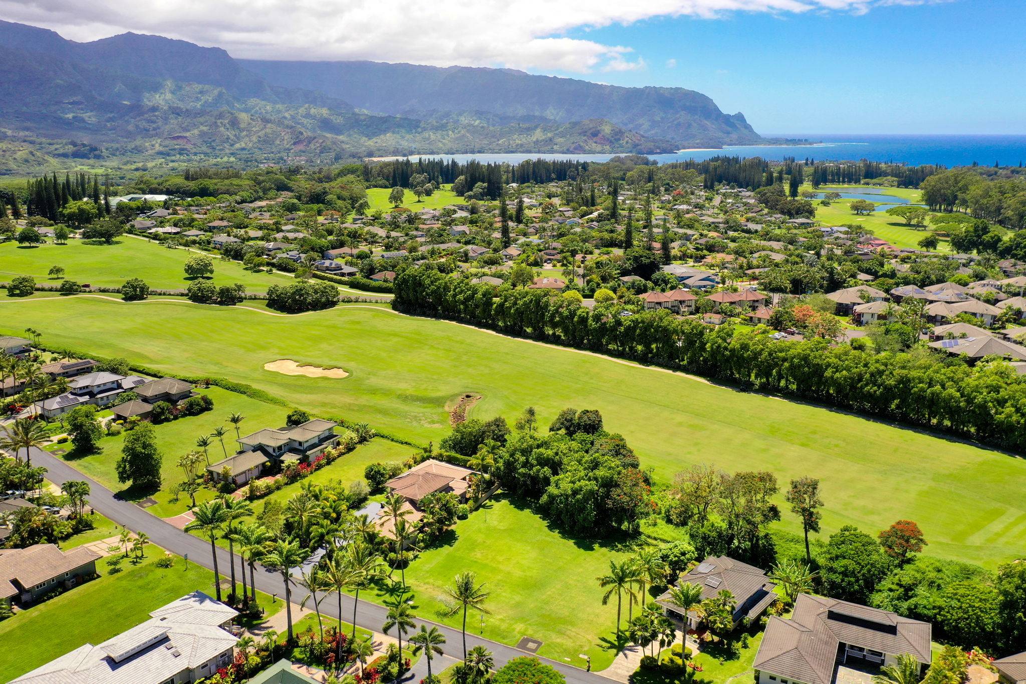 Princeville, HI 96722,4058 ALOALII DR