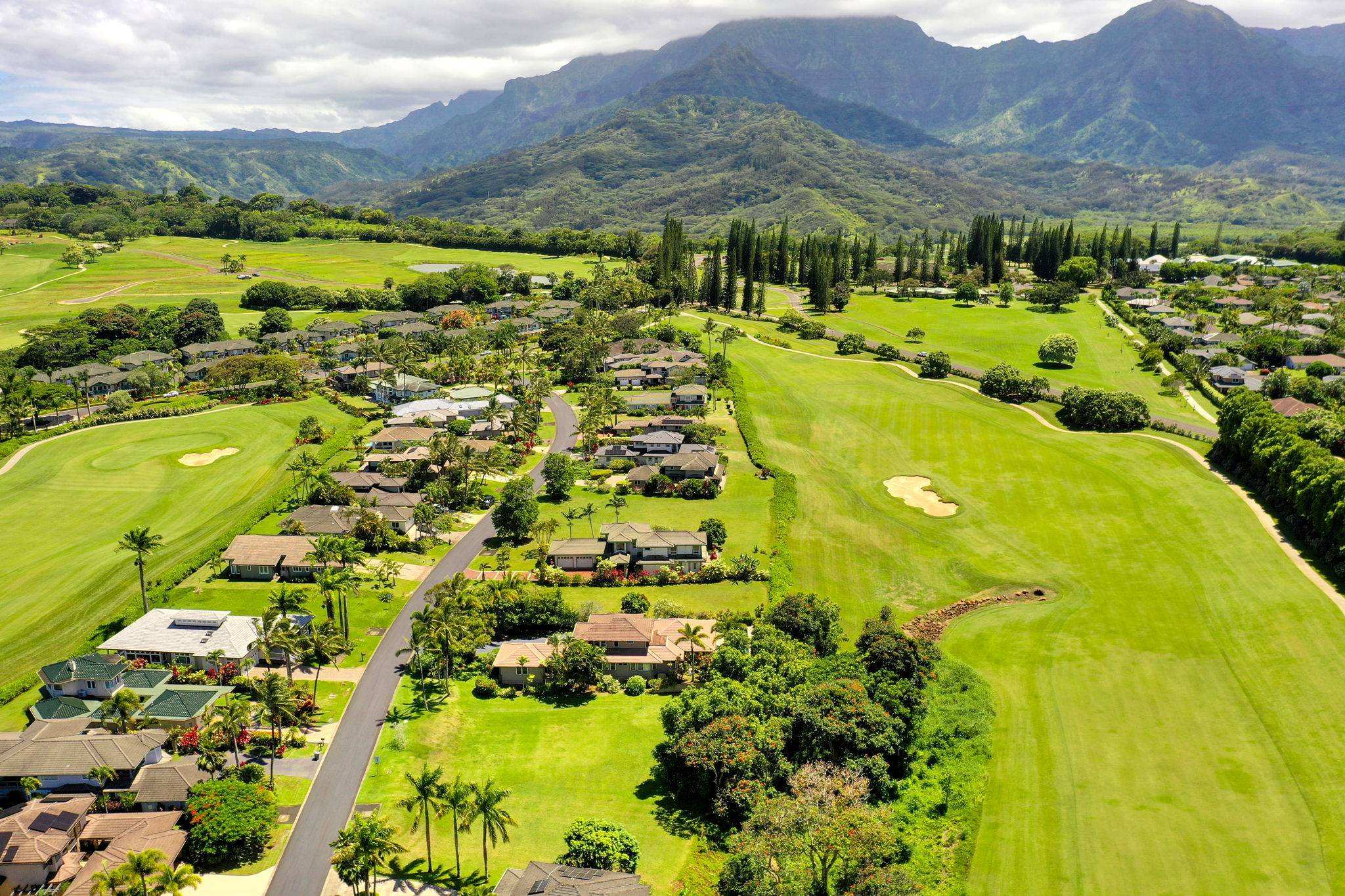 Princeville, HI 96722,4058 ALOALII DR